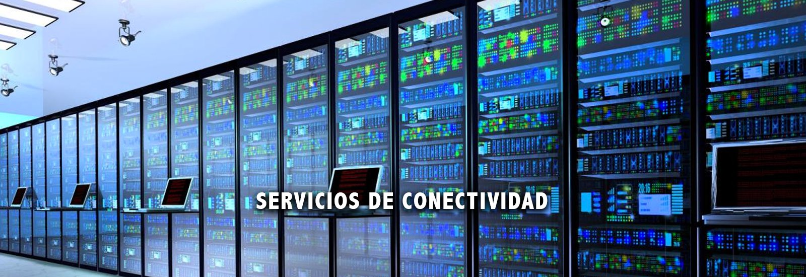 Servicios de Conectividad